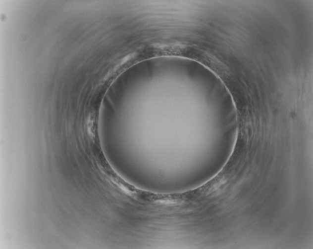 X0000059231010200510281900