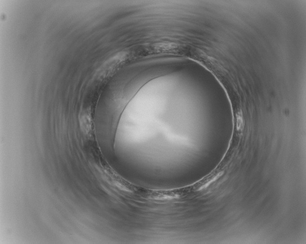 X0000059231011200510281900