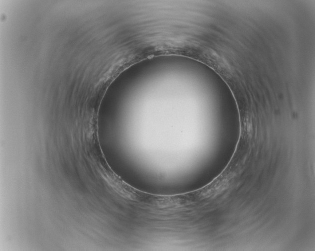 X0000059231012200510281900