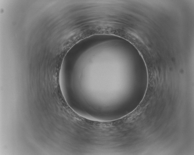 X0000059231013200510281900