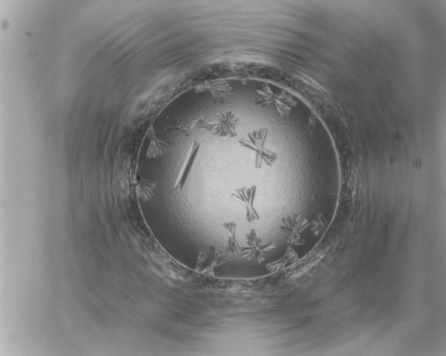 X0000059231014200510281900