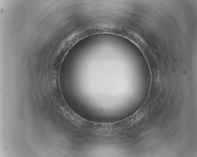 X0000059231016200510281900