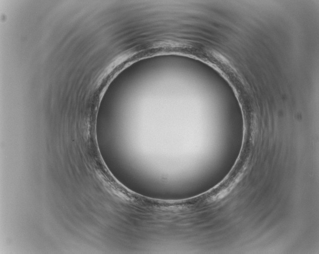 X0000059231017200510281900