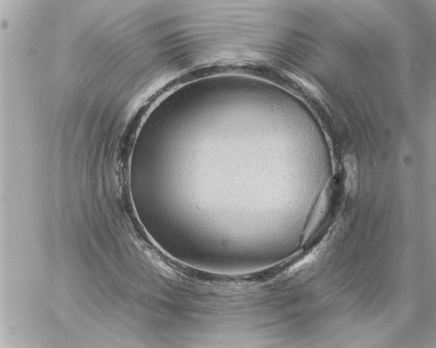 X0000059231018200510281900