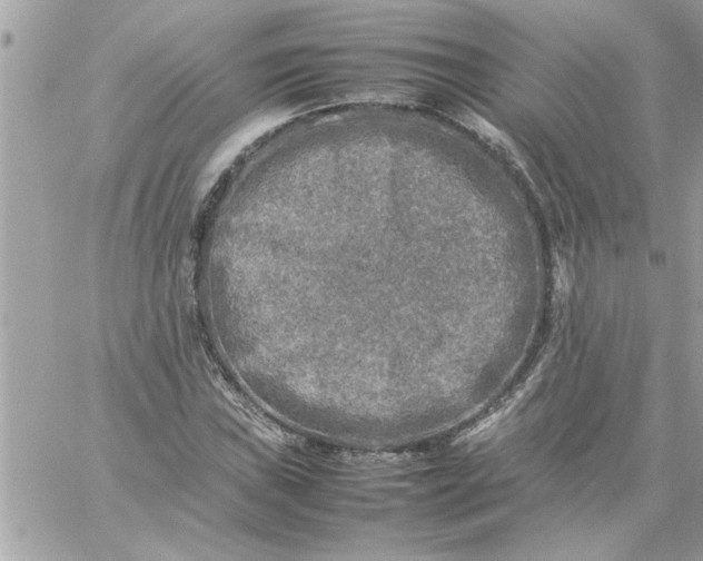 X0000059231019200510281900