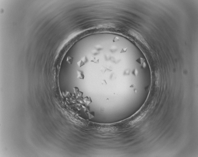 X0000059231021200510281900