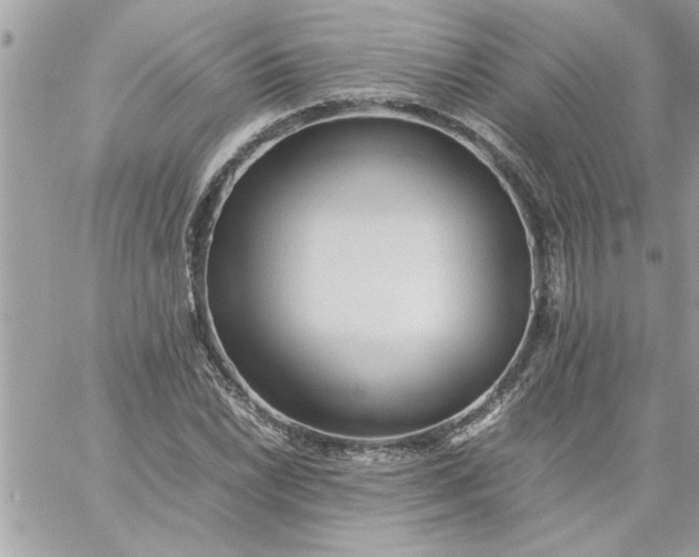 X0000059231022200510281900