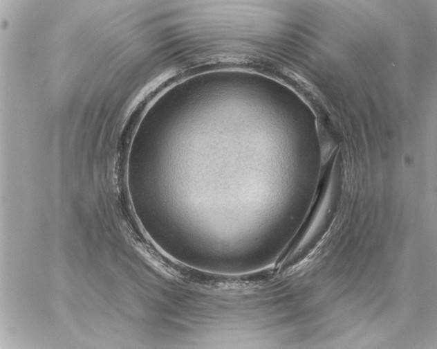 X0000059231026200510281900