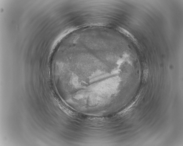 X0000059231027200510281900