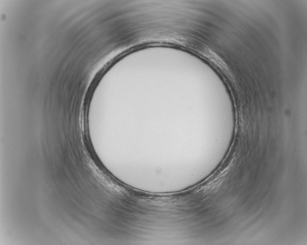 X0000059231028200510281900