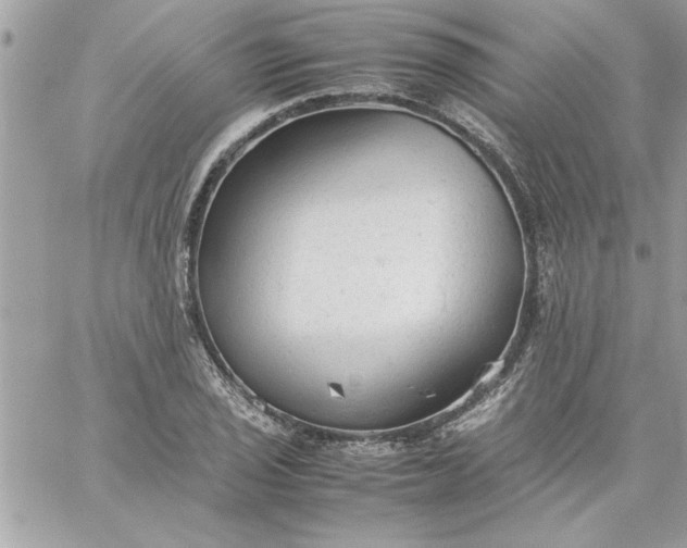 X0000059231029200510281900