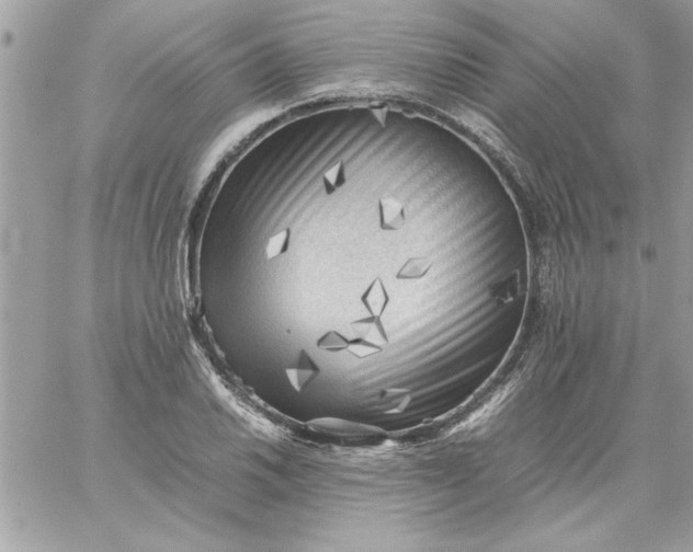 X0000059231030200510281900