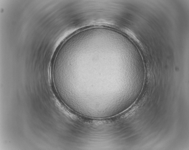 X0000059231032200510281900