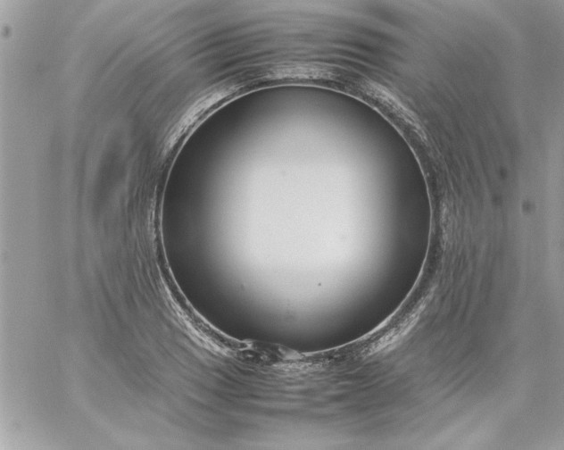 X0000059231033200510281900