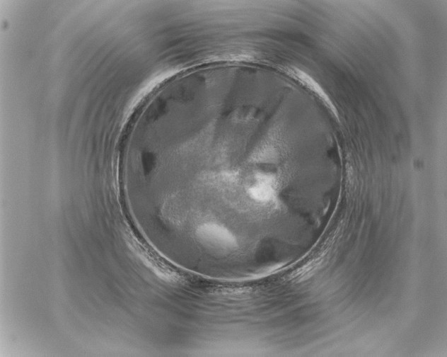 X0000059231035200510281900