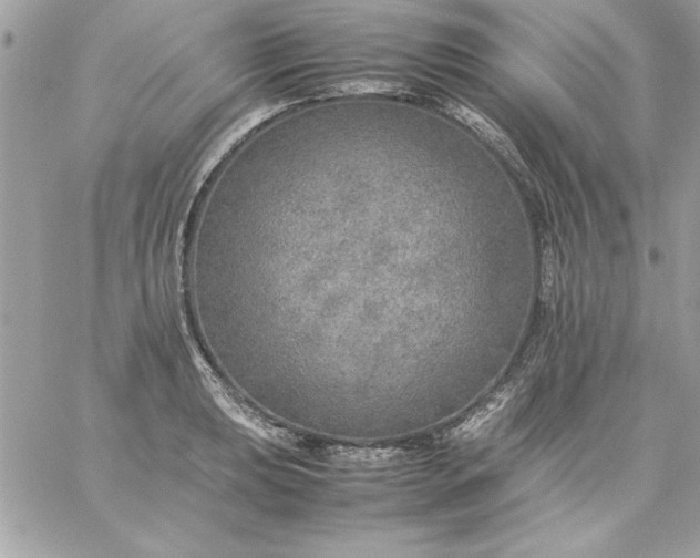 X0000059231039200510281900