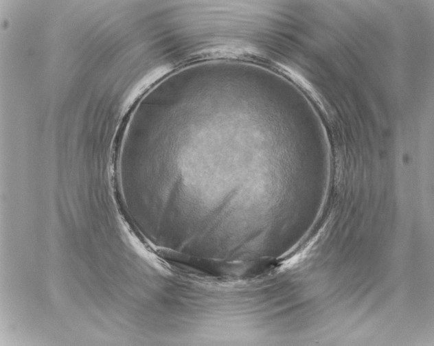 X0000059231042200510281900