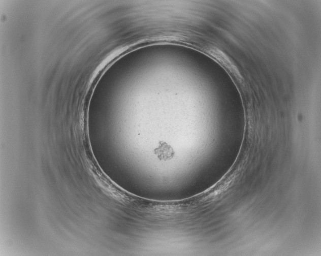 X0000059231044200510281900