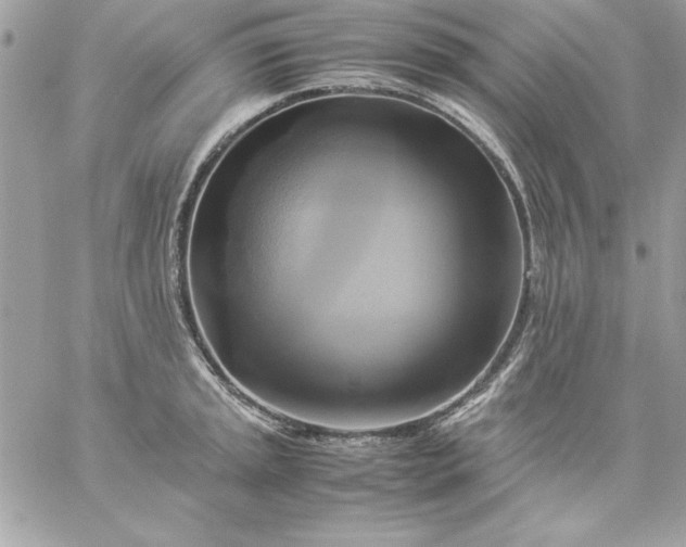 X0000059231045200510281900