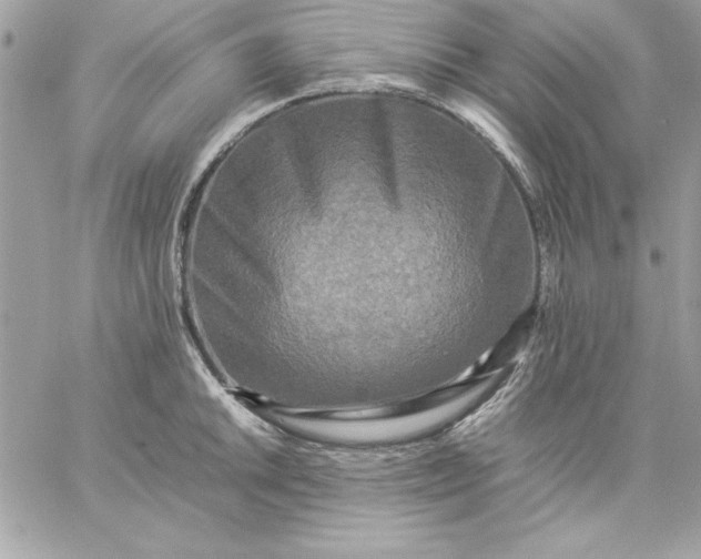 X0000059231046200510281900