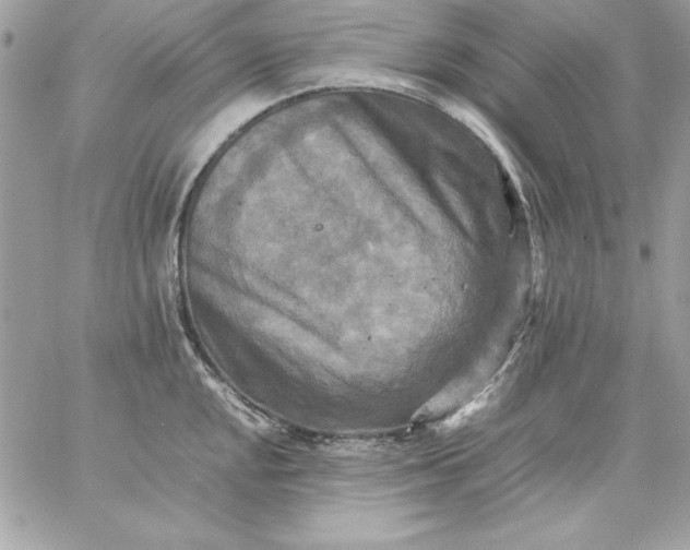 X0000059231048200510281900