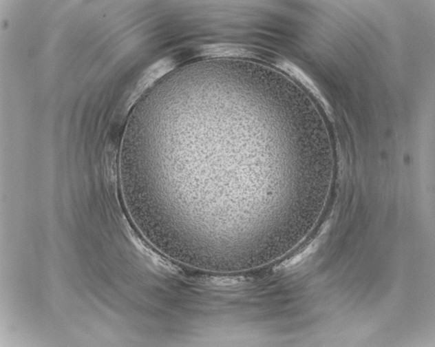 X0000059231049200510281900