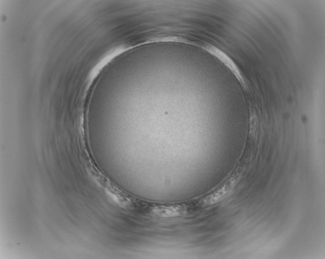 X0000059231051200510281900