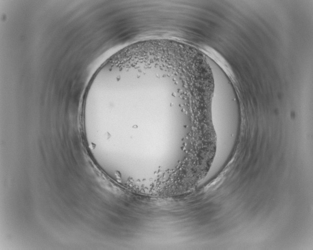 X0000059231052200510281900