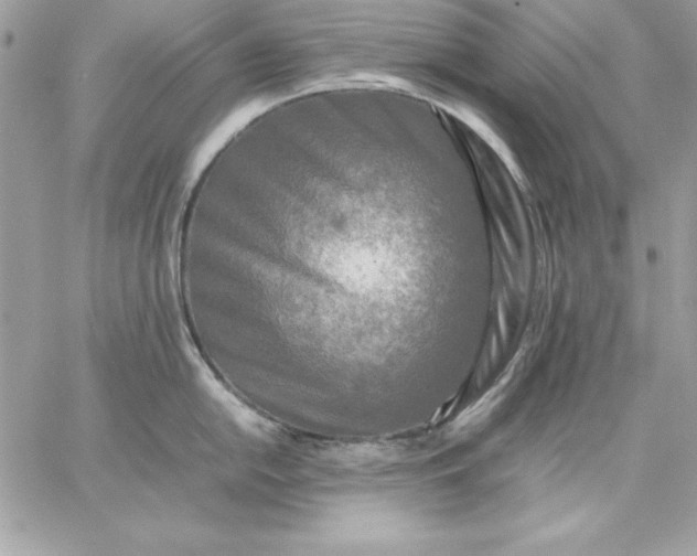 X0000059231054200510281900