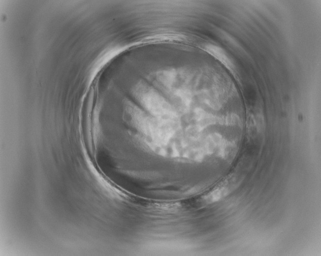 X0000059231055200510281900