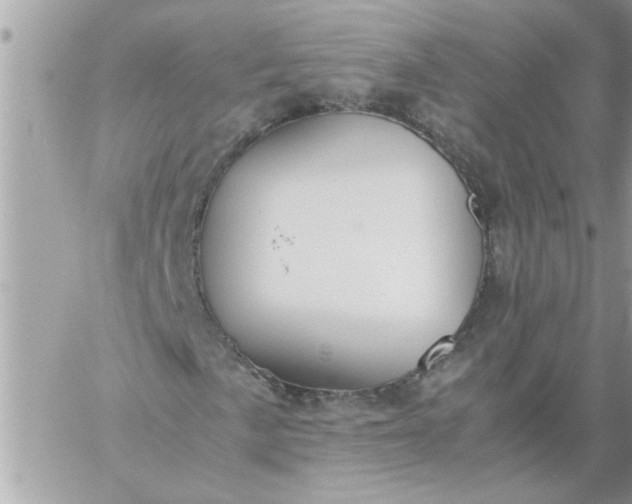 X0000059231057200510281900