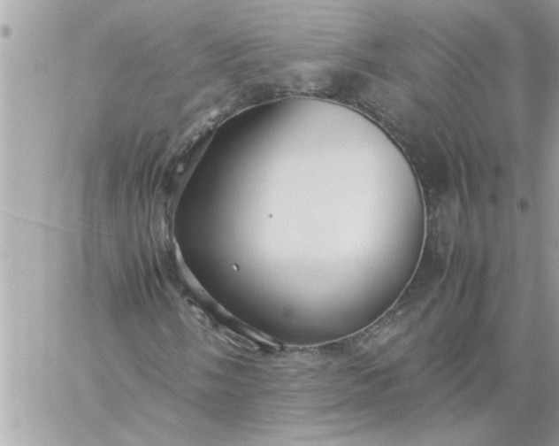 X0000059231058200510281900