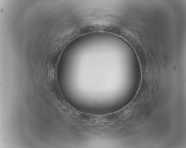 X0000059231061200510281859