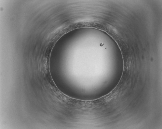 X0000059231062200510281859