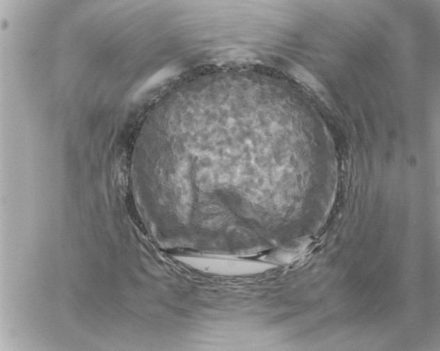 X0000059231063200510281859