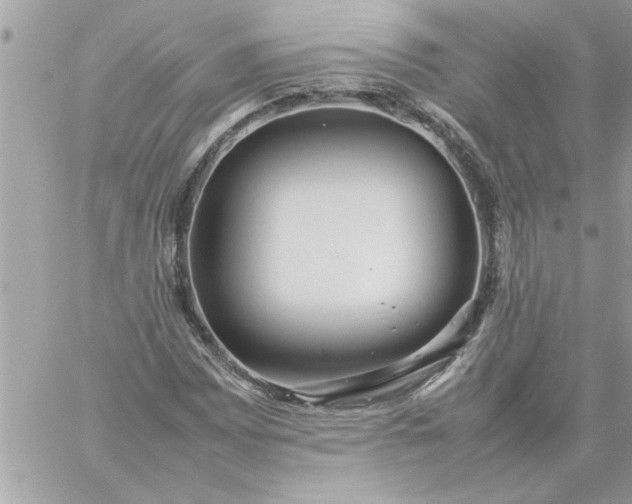 X0000059231065200510281859