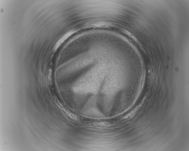 X0000059231066200510281859