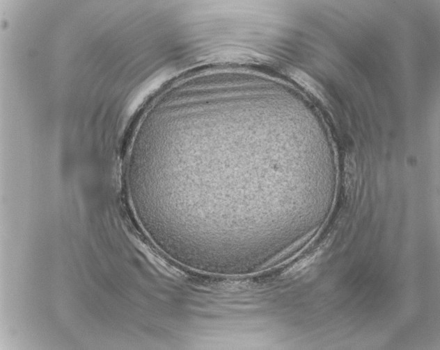 X0000059231067200510281859