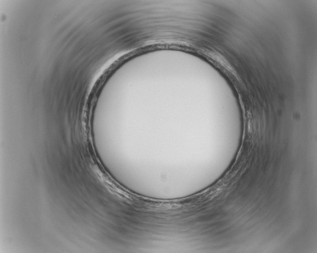 X0000059231068200510281859