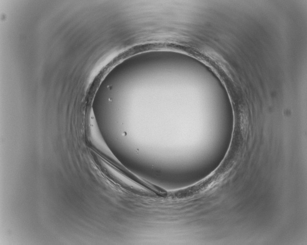 X0000059231069200510281859