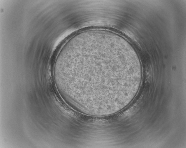 X0000059231070200510281859