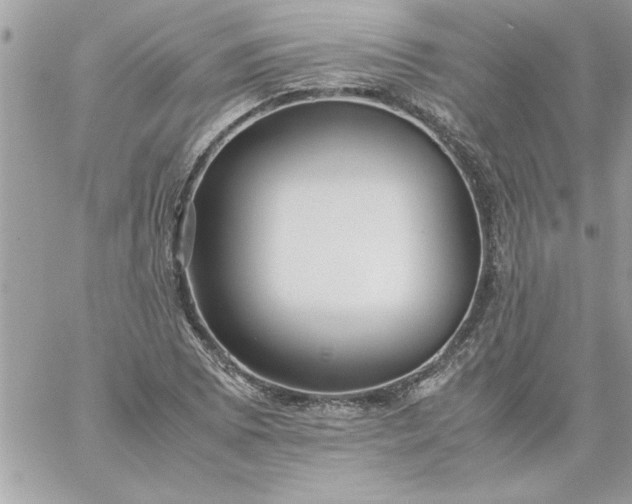 X0000059231073200510281859