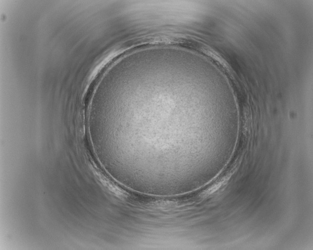 X0000059231075200510281859