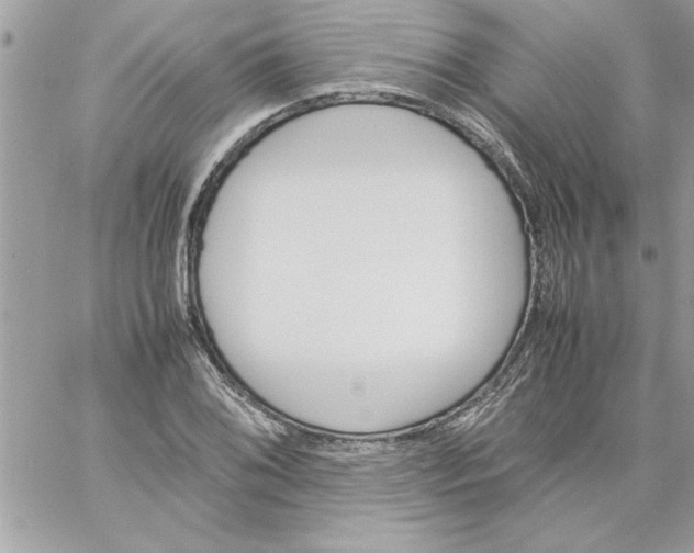 X0000059231076200510281859