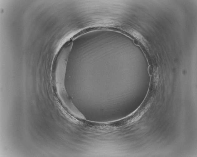 X0000059231077200510281859