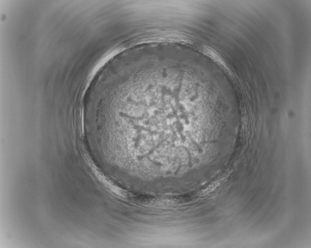 X0000059231079200510281859