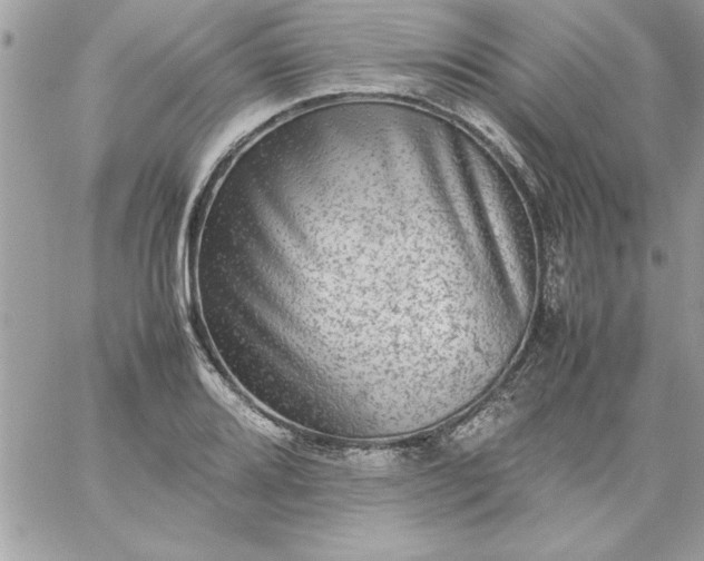 X0000059231080200510281859