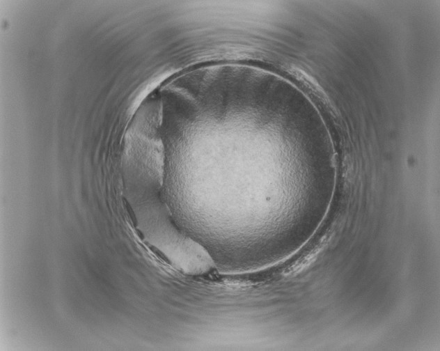 X0000059231081200510281859