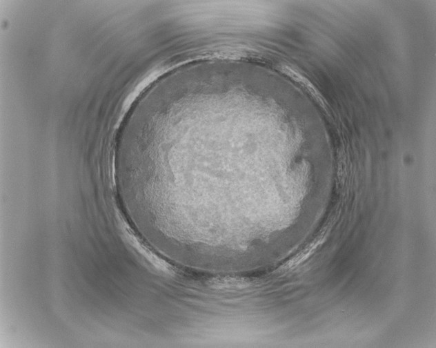 X0000059231083200510281859