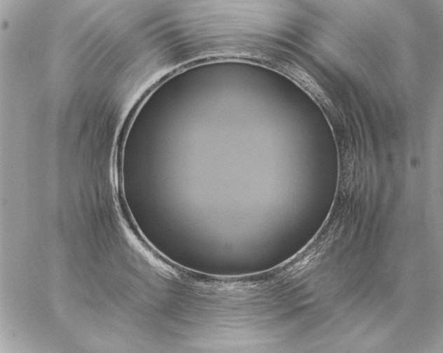 X0000059231084200510281859